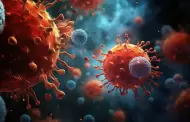 Espa�a activa operativo in�dito por crucero con brote de hantavirus