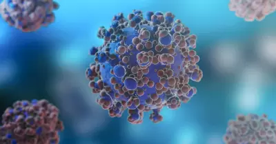 virus