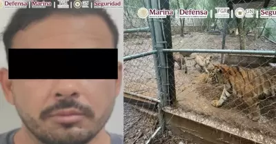 Detienen a presunto l�der del C�rtel del Noroeste