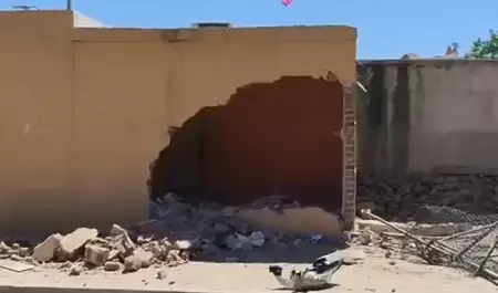 Choca menor en la colonia Palo Verde