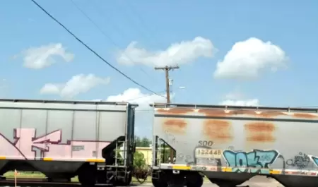 Vagones de tren