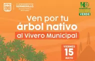 Donar� Vivero Municipal 500 �rboles nativos