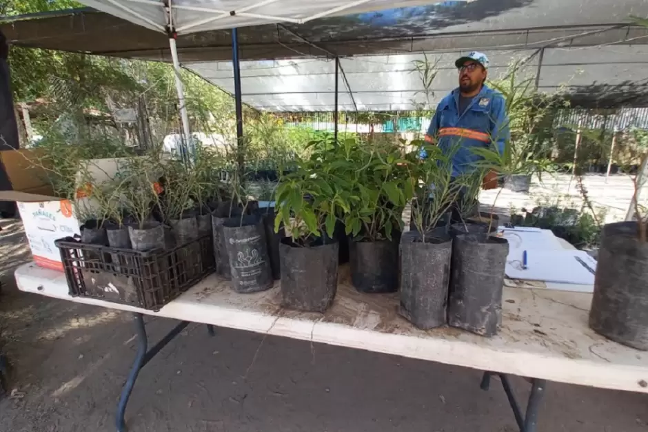 Vivero Municipal