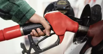 gasolina