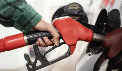gasolina