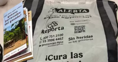 Acciones contra gusano barrenador
