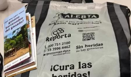 Acciones contra gusano barrenador