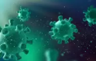 Salud activa alertas por calor extremo, hantavirus y �bola