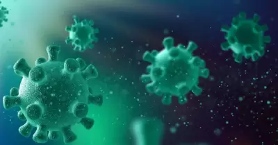 Virus