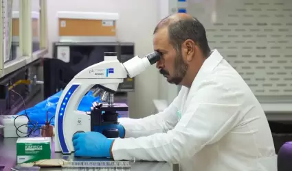 �bola en Sonora
