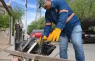 Hermosillo refuerza descacharre para prevenir casos de dengue