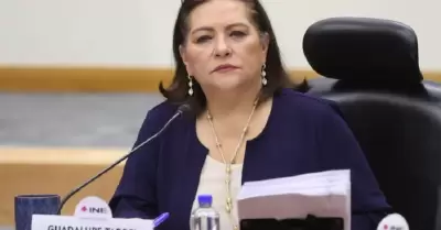 Guadalupe Taddei Zavala