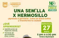 �Aprende a germinar �rbol nativo en Hermosillo!