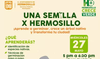 Una Semilla X Hermosillo