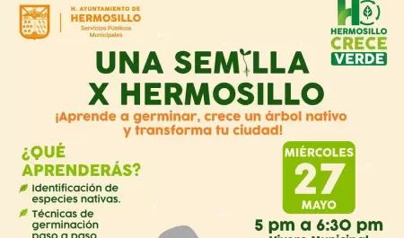 Una Semilla X Hermosillo