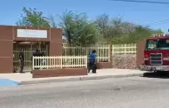 Retiran enjambre de abejas en primaria de Hermosillo