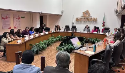 Sesi�n del Observatorio de Participaci�n Pol�tica de las Mujeres.