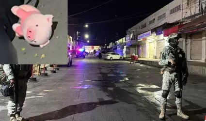 Dejan cerdito de peluche a hombre asesinado en Culiac�n