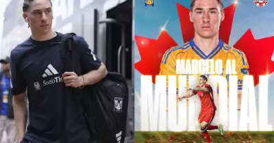 Marcelo Flores