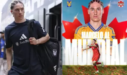Marcelo Flores