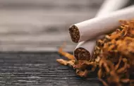 �Por qu� se celebra cada 31 de mayo el D�a Mundial Sin Tabaco?