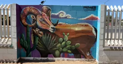 Concurso de Corredores Culturales Ambientales.