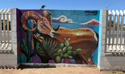Concurso de Corredores Culturales Ambientales.