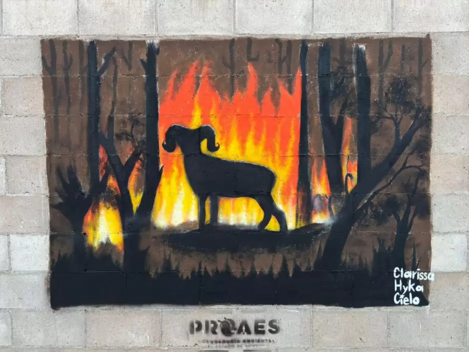 Concurso de Corredores Culturales Ambientale