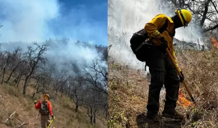 Combate de incendio forestal en Tarachi