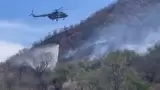 Combate de incendio forestal