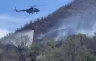 Incendio forestal entre Arivechi y Sahuaripa alcanza 60% de liquidaci�n