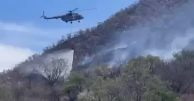 Combate de incendio forestal