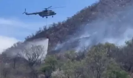 Combate de incendio forestal