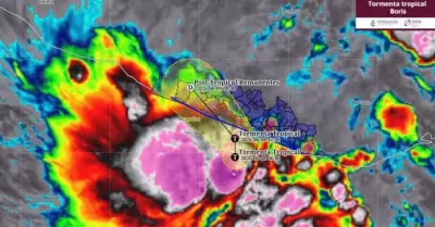 Tormenta tropical Boris
