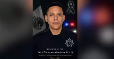 Luis Fernando Molina Avil�s