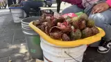 Pitaya