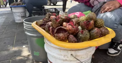 Pitaya
