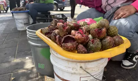 Pitaya