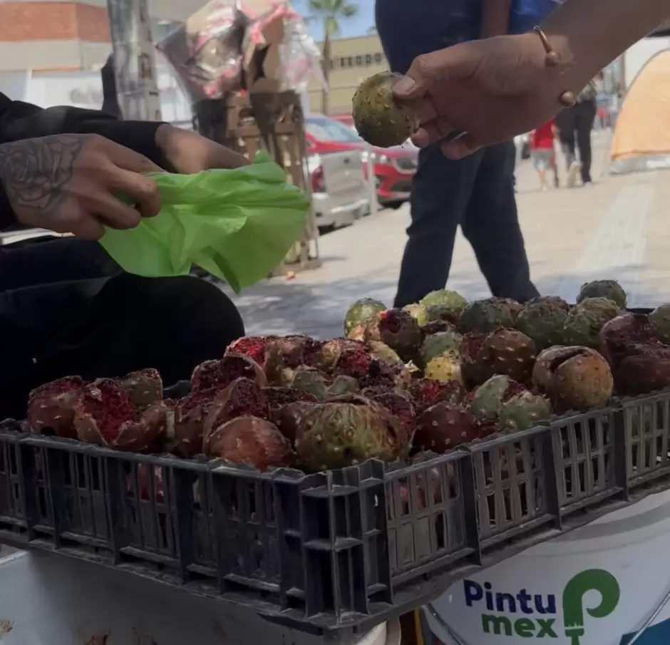Pitaya