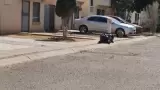 Hallazgo de pareja sin vida en Puerta Real
