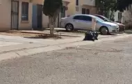 FGJES investiga intoxicaci�n accidental en caso de pareja hallada dentro de auto en Puerta Real