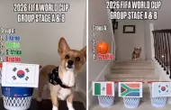 VIDEO Or�culo de cuatro patas predice el rumbo de M�xico en el Mundial