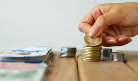 dinero peso econom�a inversi�n