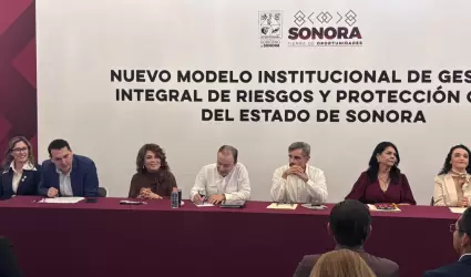 Nuevo modelo de protecci�n civil