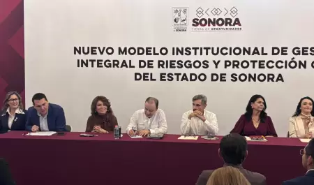 Nuevo modelo de protecci�n civil
