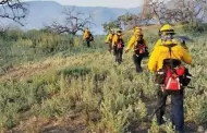 Liquidan incendio forestal que afect� a Arivechi y Sahuaripa