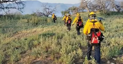 Incendio forestal