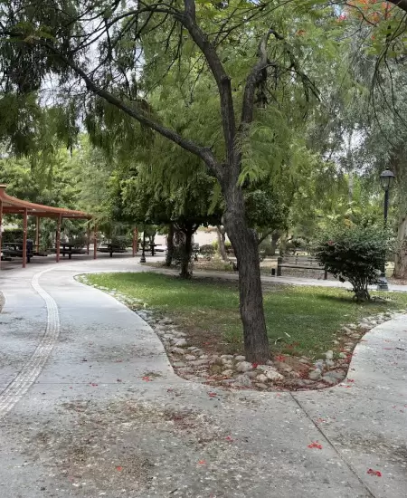 Universidad de Sonora