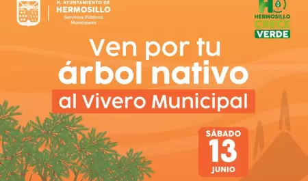 Vivero Municipal