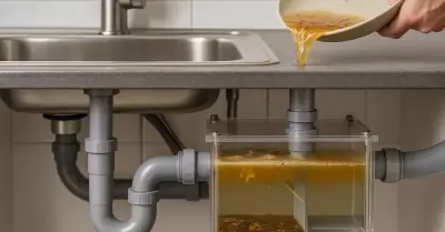 Trampas de grasa